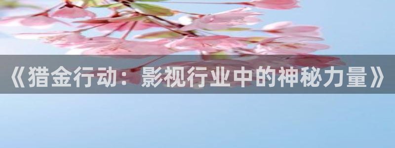 电视剧1988完整版在线观看：《猎金行动：影视行业中的神秘力量》