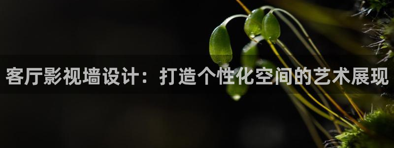 98影院秋霞：客厅影视墙设计：打造个性化空间的艺术展现