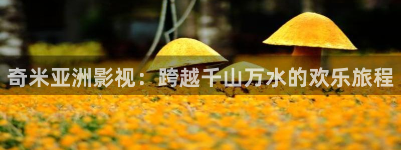 超碰在线免费98：奇米亚洲影视：跨越千山万水的欢乐旅程