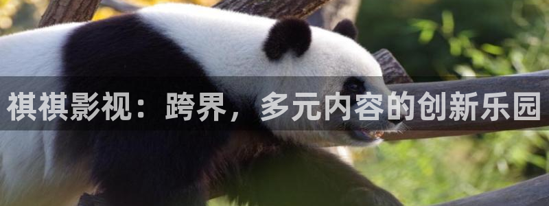 98影院热播剧有哪些：祺祺影视：跨界，多元内容的创新乐园