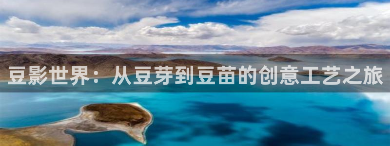 98av在线超碰：豆影世界：从豆芽到豆苗的创意工艺之旅