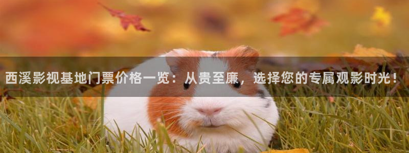980影院电视剧免费观看完整版：西溪影视基地门票价格一览：从贵至廉，选择您的专属观影时光！